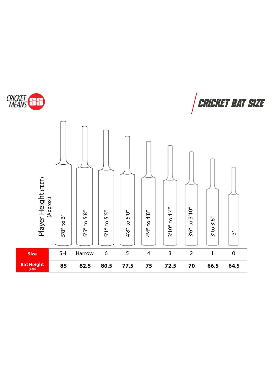 SS ton glory english willow cricket bat