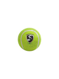 SG ace light tennis cricket ball