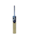 SG rp park kashmir willow cricket bat