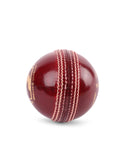 SG tournament cricket ball