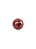 SG bouncer leather cricket ball