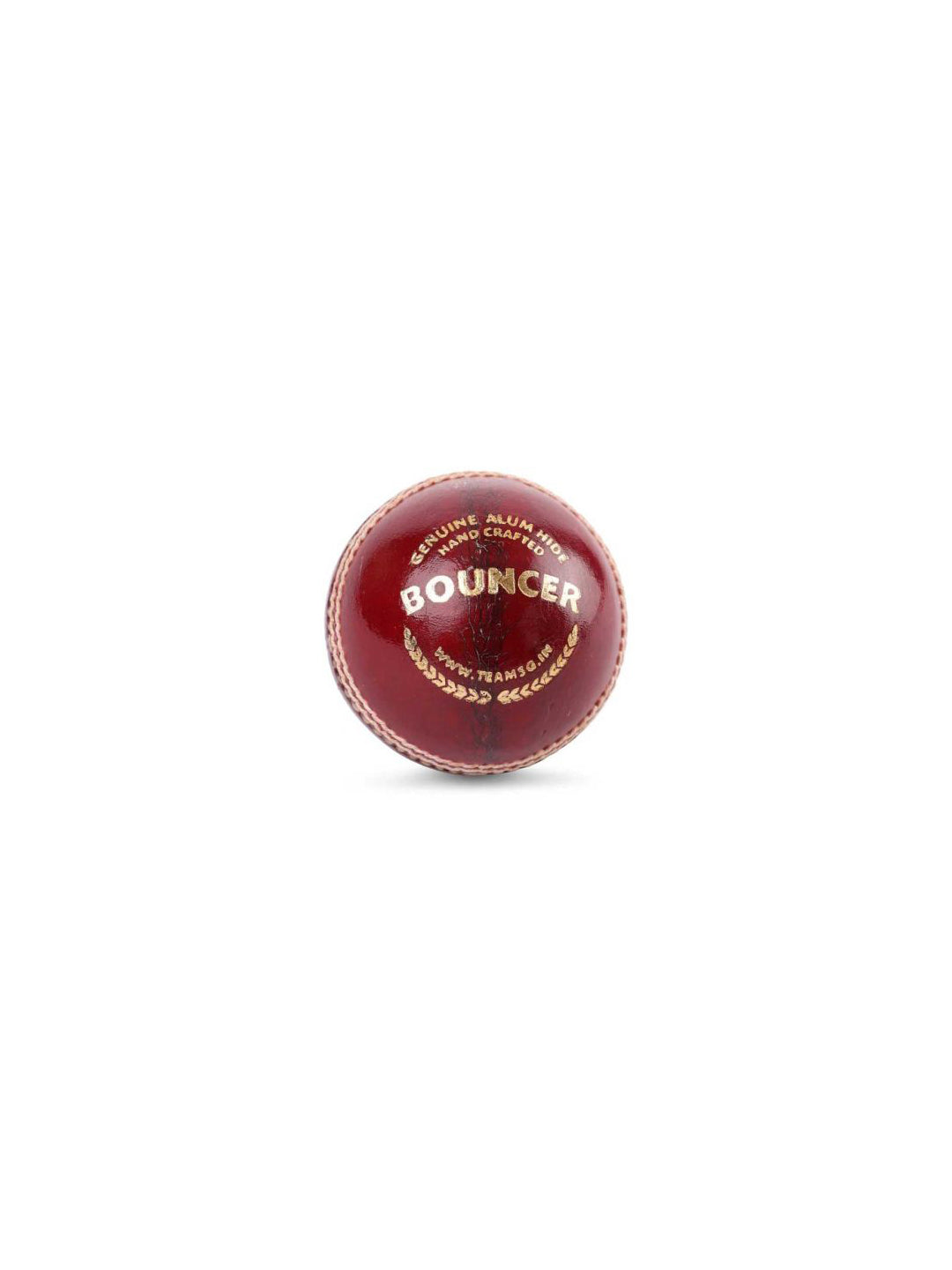 SG bouncer leather cricket ball