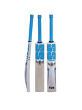SS storm english willow cricket bat
