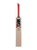 GM sigma f2-808 english willow cricket bat