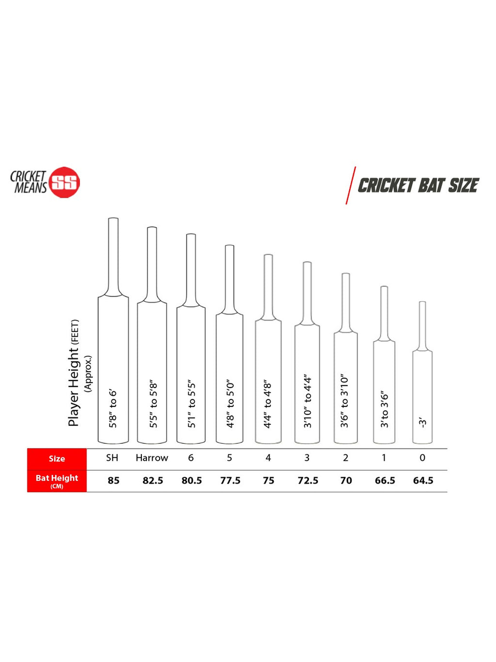 SS master 1000 english willow cricket bat
