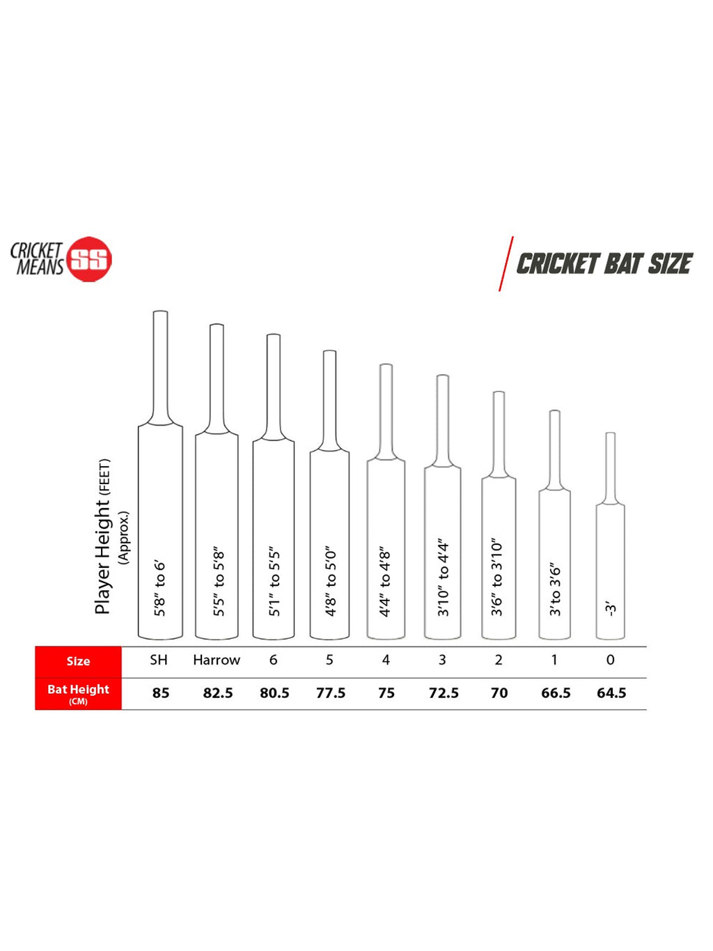 SS ton silver edition english willow cricket bat