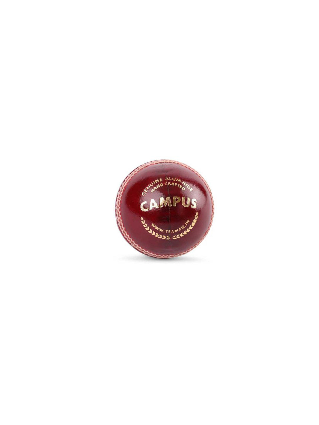 SG campus leather cricket ball